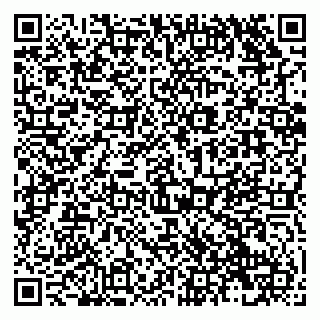 vCard 79138281982