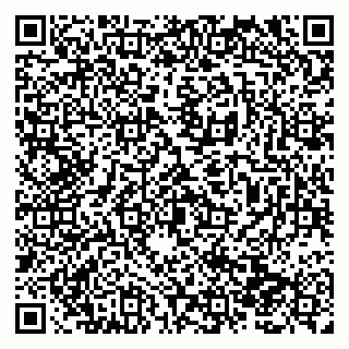 vCard 79138281985