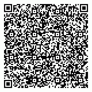 vCard 79138281995
