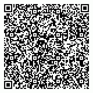 vCard 79138281997