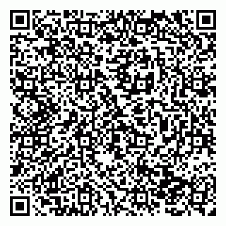 vCard 79138281998