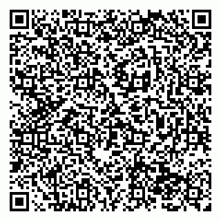 vCard 79138282000