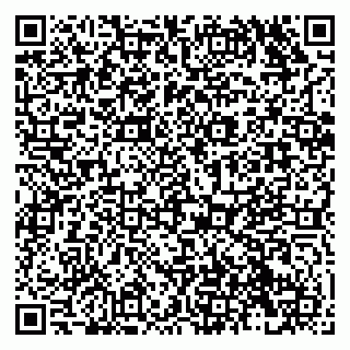 vCard 79138282001
