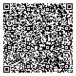 vCard 79138282002