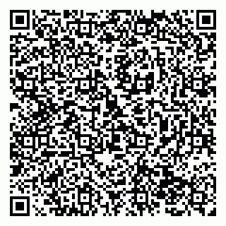 vCard 79138282003