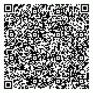 vCard 79138282004