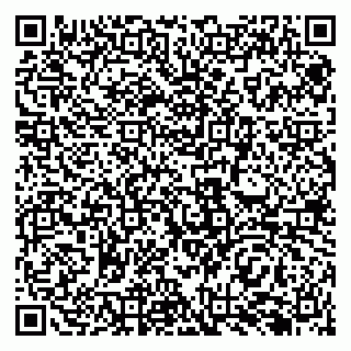 vCard 79138282005