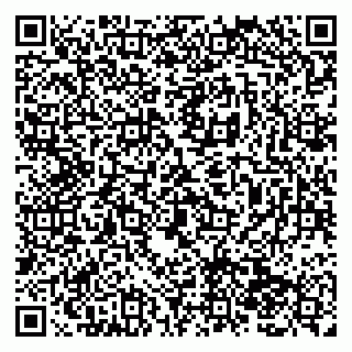 vCard 79138282007