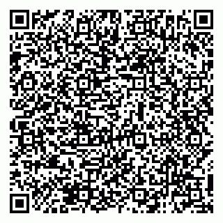 vCard 79138282011