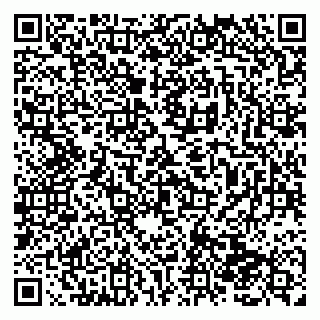 vCard 79138282147