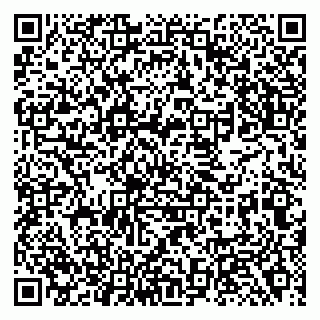 vCard 79138282173