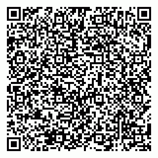 vCard 79138282385