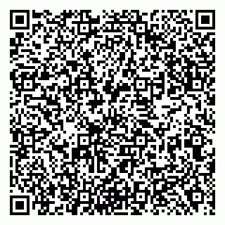 vCard 79138282478