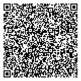 vCard 79138282803