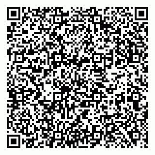vCard 79138282811