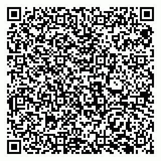 vCard 79138282901