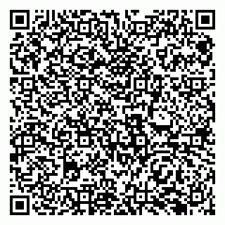 vCard 79138282903