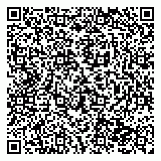 vCard 79138282905
