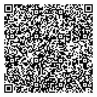 vCard 79138282906