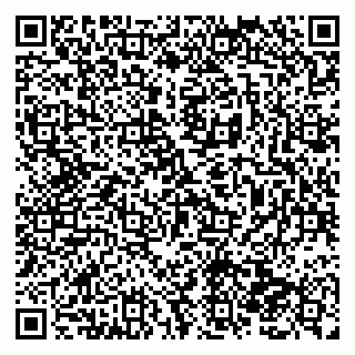 vCard 79138282907