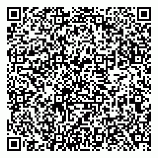 vCard 79138282908