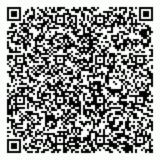 vCard 79138282932