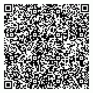 vCard 79138282933