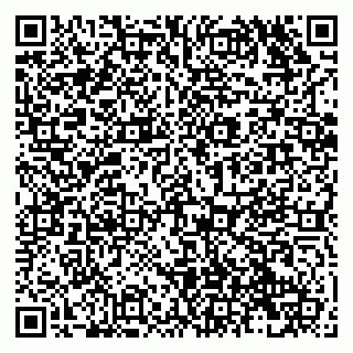 vCard 79138282940
