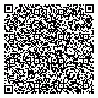 vCard 79138282945