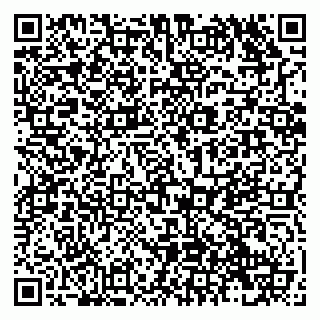 vCard 79138282953