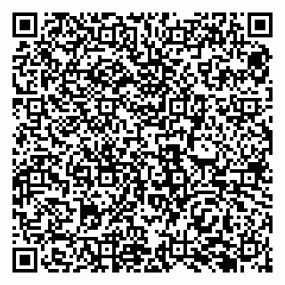 vCard 79138282958