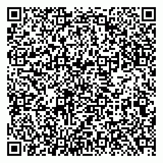 vCard 79138282963