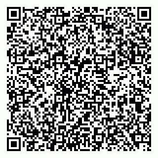 vCard 79138282969