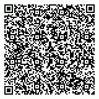 vCard 79138282971