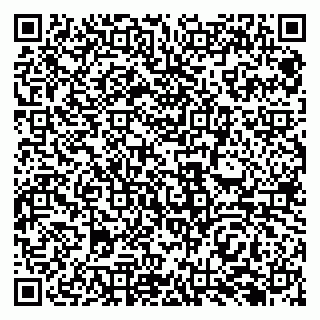 vCard 79138282973