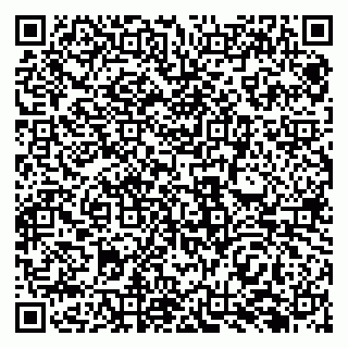 vCard 79138282974