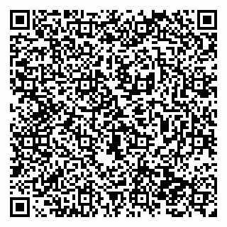 vCard 79138282978