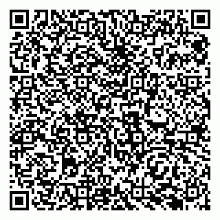 vCard 79138282980