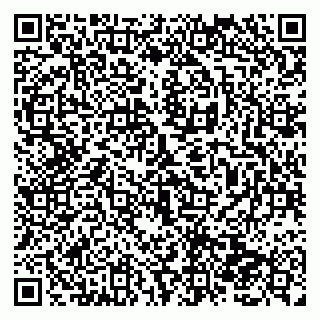vCard 79138282985