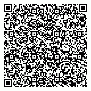vCard 79138282987