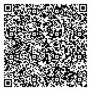 vCard 79138282989