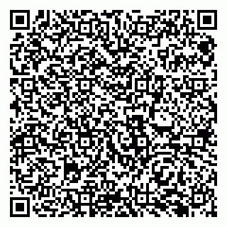 vCard 79138282993