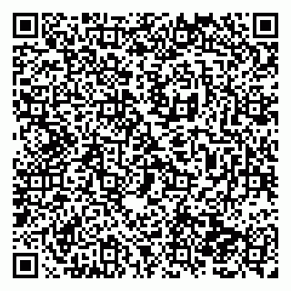 vCard 79138282994