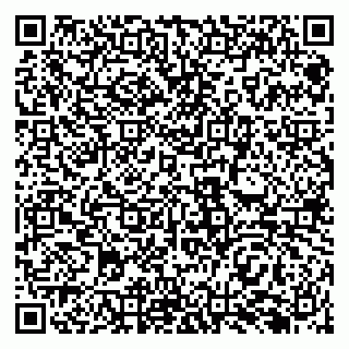 vCard 79138283003