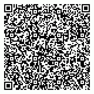vCard 79138283012