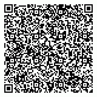 vCard 79138283045