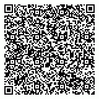 vCard 79138283085