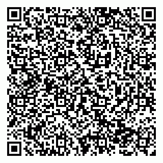 vCard 79138283131