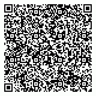 vCard 79138283203