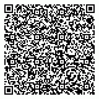 vCard 79138283263